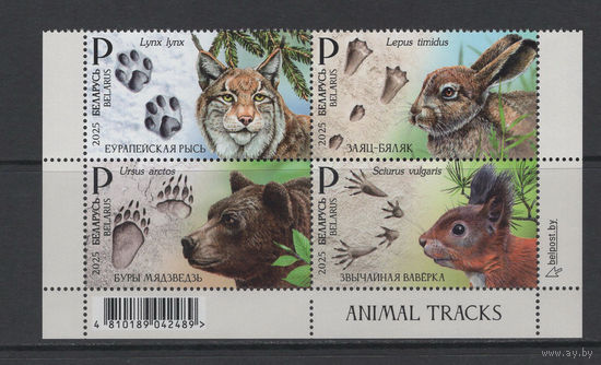 Беларусь 2025 Фауна "Следы зверей"