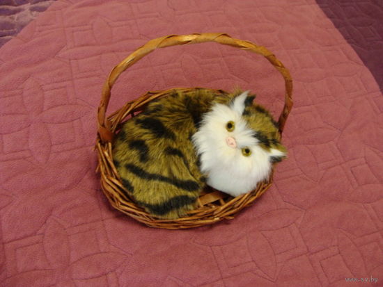 Кот, котик в корзине
