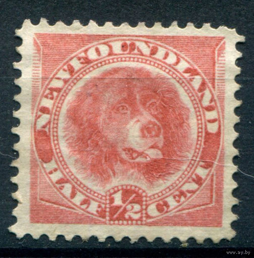 Британские колонии - Ньюфаундленд - 1887/96г. - ньюфаундленд, 1/2 с - 1 марка - чистая, без клея, есть пятнышки по перфорации [Mi 35]. #3-WB-90-A-1