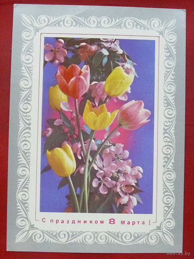 8 марта! Чистая. 1975 года. Костенко. *104.