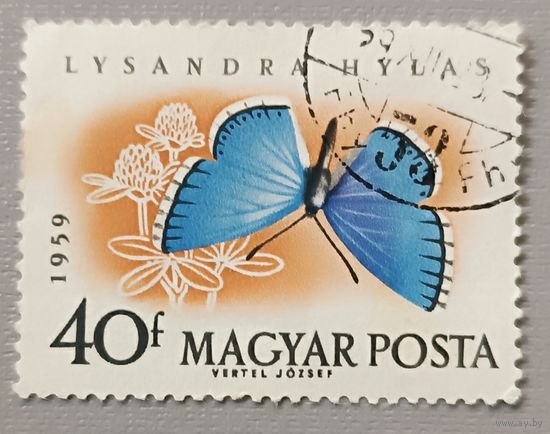 Венгрия, 1959. Бабочка