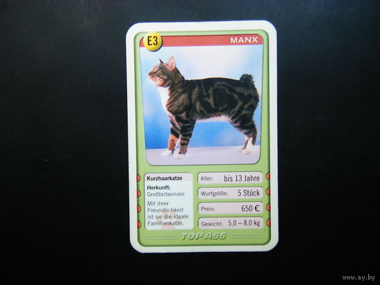 Карточка КОШКИ 12