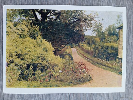 1949. Пушкинина. Село Михайловское. Дорожка на усадьбе