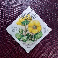 Марка СССР 1981 год. Цветы Карпат. Гашеная. 5194.