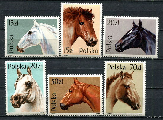 Польша - 1989 - Лошади - [Mi.3190-3195] - 6 марок. MNH.  (Лот 47JK)-TG2P48