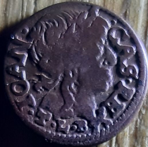 БОРАТИНКА 1660 ГОД БОЛЬШАЯ ГОЛОВА