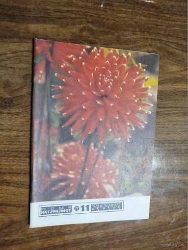 Юный натуралист 1977, вып. 11