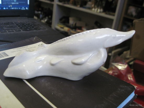 Осетр МФФЗ с рубля!