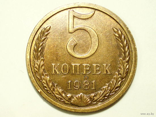 5 копеек 1981 #5