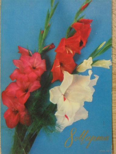 ПОДПИСАННАЯ ОТКРЫТКА СССР.ПРОШЕДШАЯ ПОЧТУ. "8 МАРТА". ФОТО. Г. КОСТЕНКО. 1973 год.