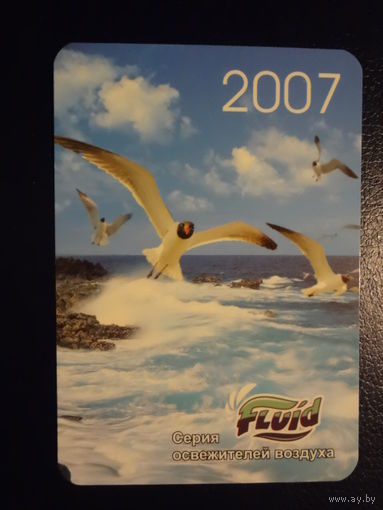 Календарик 2007 г.  Чайки.