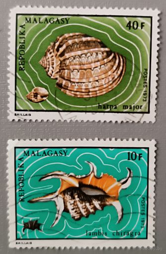 Ракушки. Мадагаскар, 1973