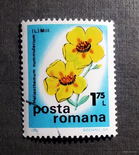 Марка Румыния 1975 год Цветы