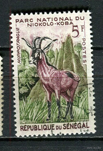 Сенегал - 1960 - Фауна. Антилопа 5Fr - [Mi.233] - 1 марка. Гашеная.  (Лот 21JA)-TG3P52