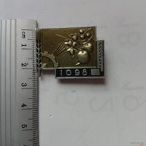 Значок Рославль 1098