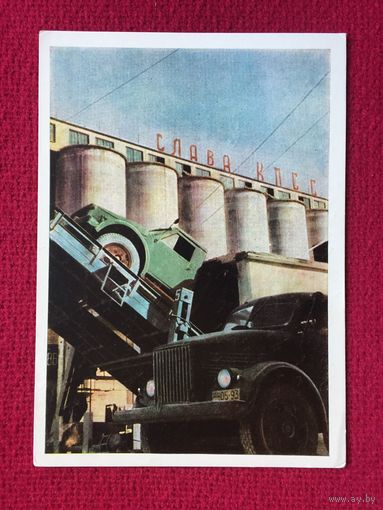 Там, где была целина. Хлеб родине. 1962 г.