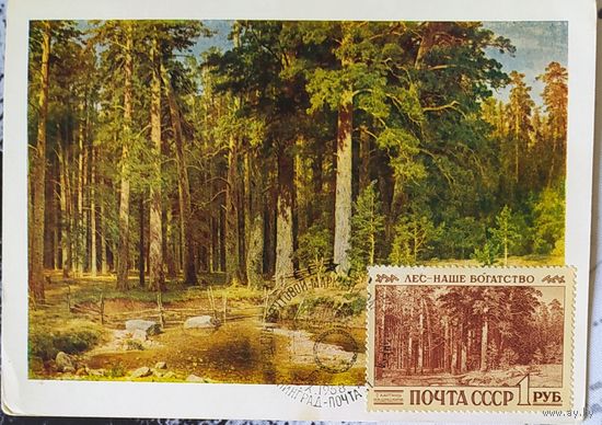 СССР 1968 КМ Лес наше богатство.