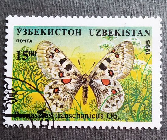 Марка Узбекистан 1995 год Бабочка