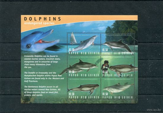 Папуа Новая-Гвинея. Морская фауна. Дельфины. Блок