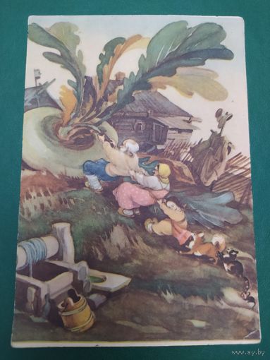 И. Кузнецов. Репка