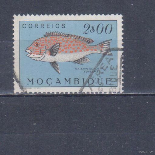 [1975] Португальский Мозамбик 1951. Фауна.Рыба.2 э. Гашеная марка.