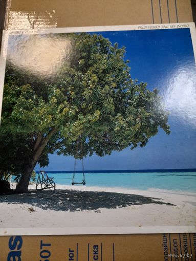 ALBERT HAMMOND  "  YOUR WORLD AND MY WORLD" 1981 LP JAPAN CBS SONY 25AP2025 -NM/NM