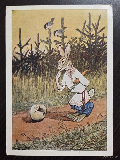 Рачев Колобок 1953 подписанная открытка СССР