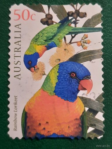 Австралия 2005. Фауна. Rainbow Lorikeet