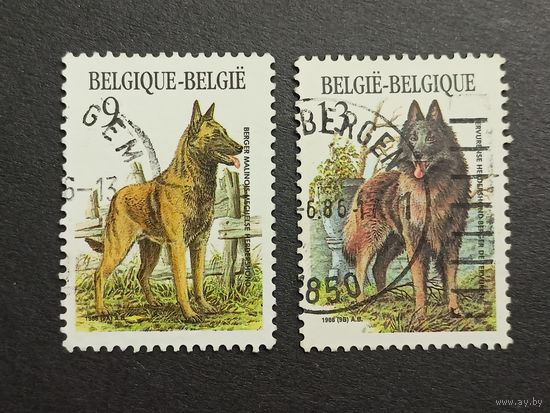Бельгия 1986. Бельгийские породы собак