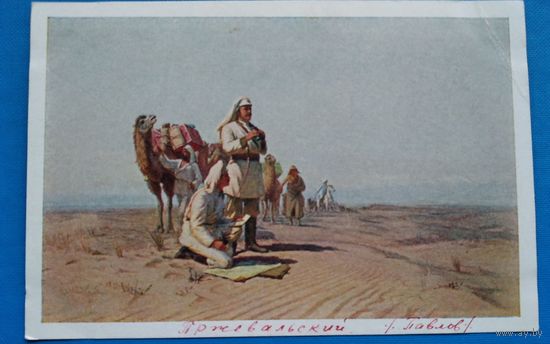 Павлов О. Пржевальский Н.М. 1951 г. Чистая.