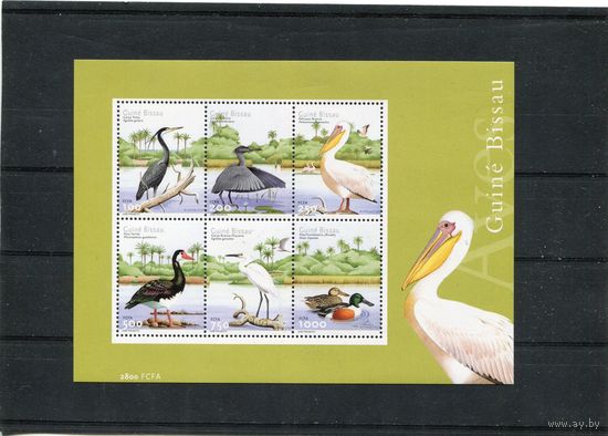 Гвинея-Биссау. Фауна. Птицы. Блок