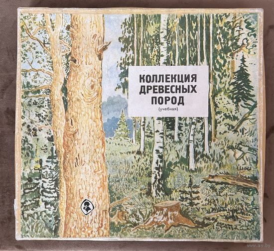 Коллекция древесных пород. Учебная.