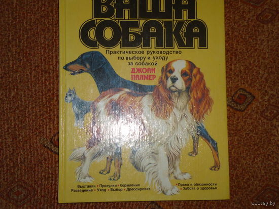 ВАША СОБАКА