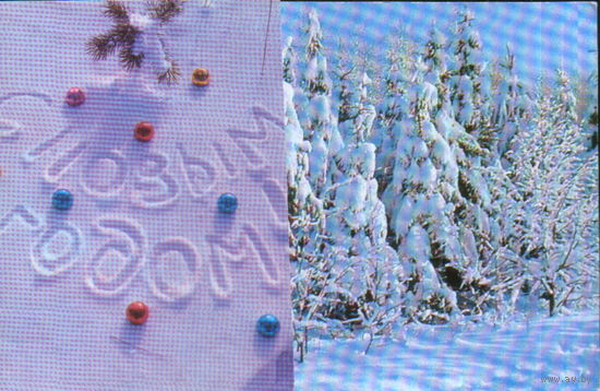 Подписанная полуторная открытка 1974г. "С Новым годом! Зимний лес" фото Р. Папикьян и Б. Раскин