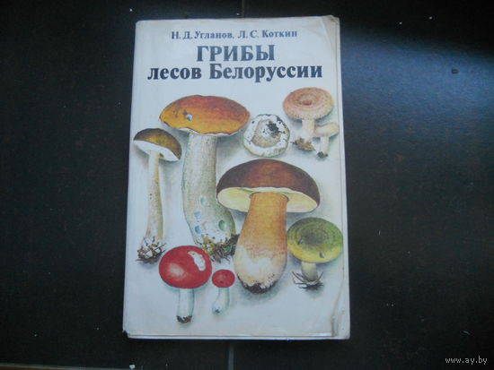 ГРИБЫ ЛЕСОВ БЕЛОРУССИИ