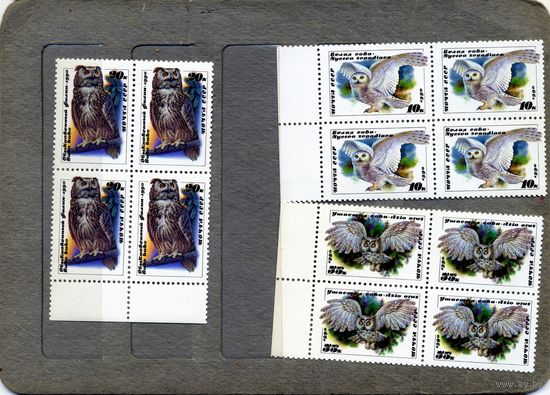 СССР, 1990, СОВЫ ,  серия 3м К/БЛОК , чистая**