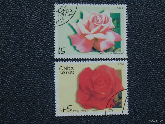 Куба 2007г. Флора.