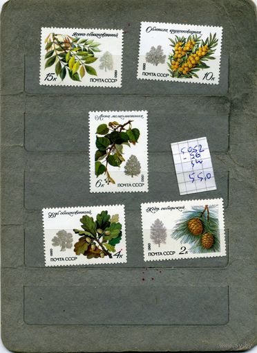 СССР, 1980 , Охраняемыепород деревьяеви кустарников,   5м чистая