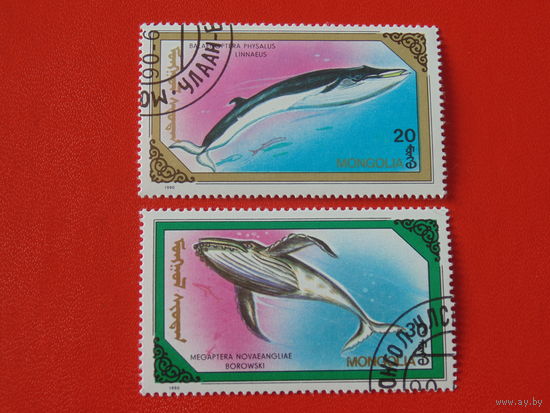 Монголия 1990 г. Фауна.