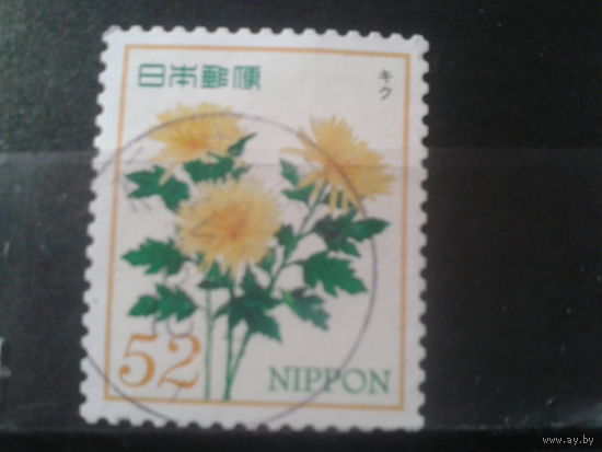 Япония, 2015. Хризантема