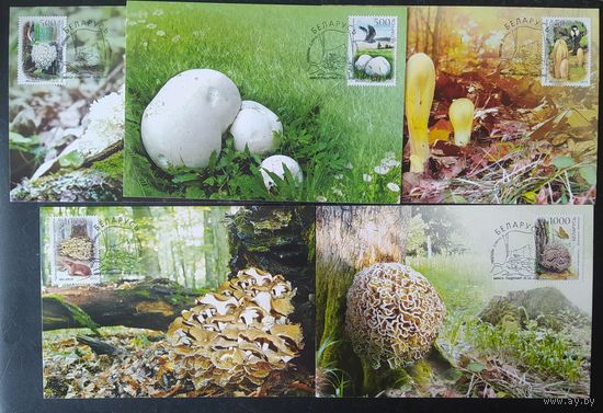 Беларусь 2010 КМ грыбы .