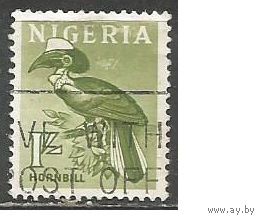 Нигерия. Птицы. Златошлёмный калао. 1961г. Mi#99.