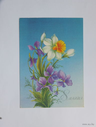 Коробова  8 марта 1986 10х15  см