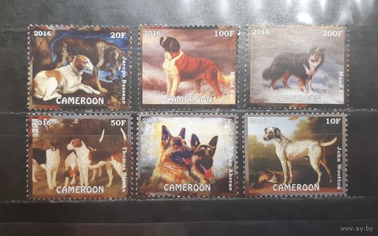 Камерун. 2016 год. Фауна. Собаки (1187)