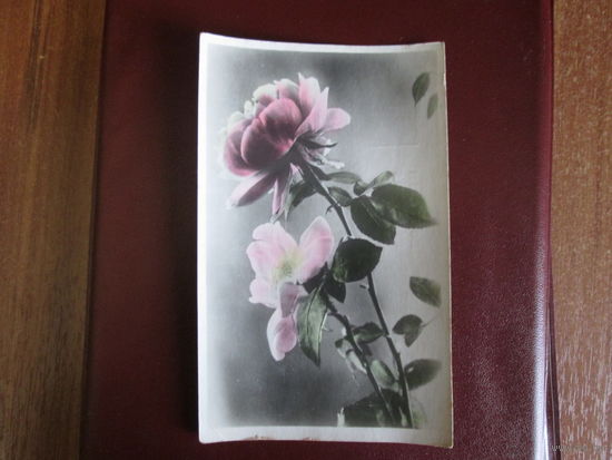 Почтовая карточка.1953г.