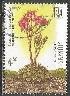 Украина. Кактусы. 2014г. Mi#1426.