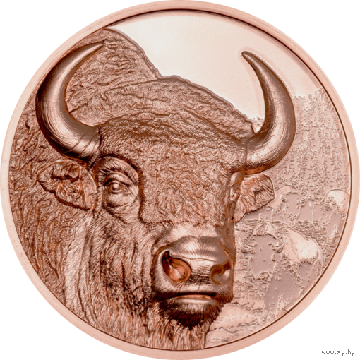 Монголия 250 тугриков 2025г. "Мистический бизон. Зубр". PROOF. Монета в капсуле; сертификат. МЕДЬ 50гр.