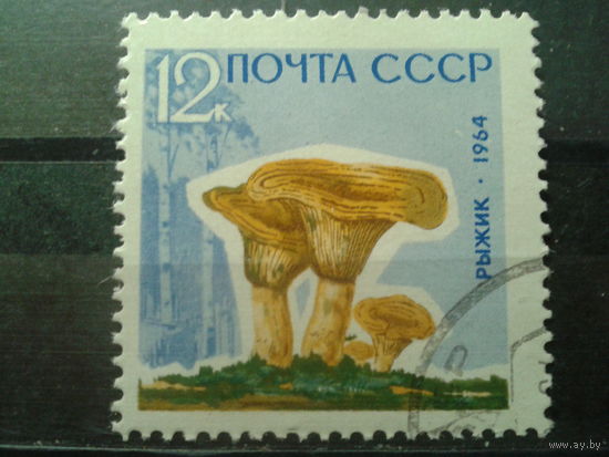 1964 Рыжик с лаковым покрытием с клеем без наклейки