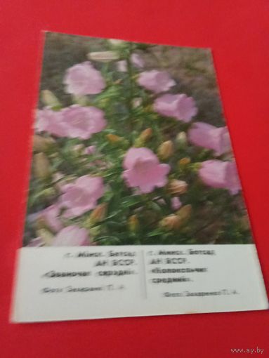 Календарик 1988г.