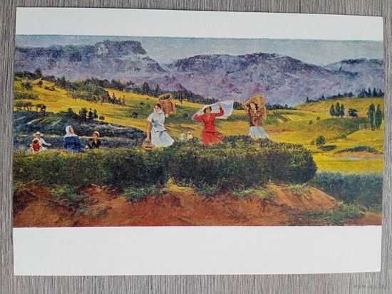 Соцреализм. Кутателадзе. Сбор чая